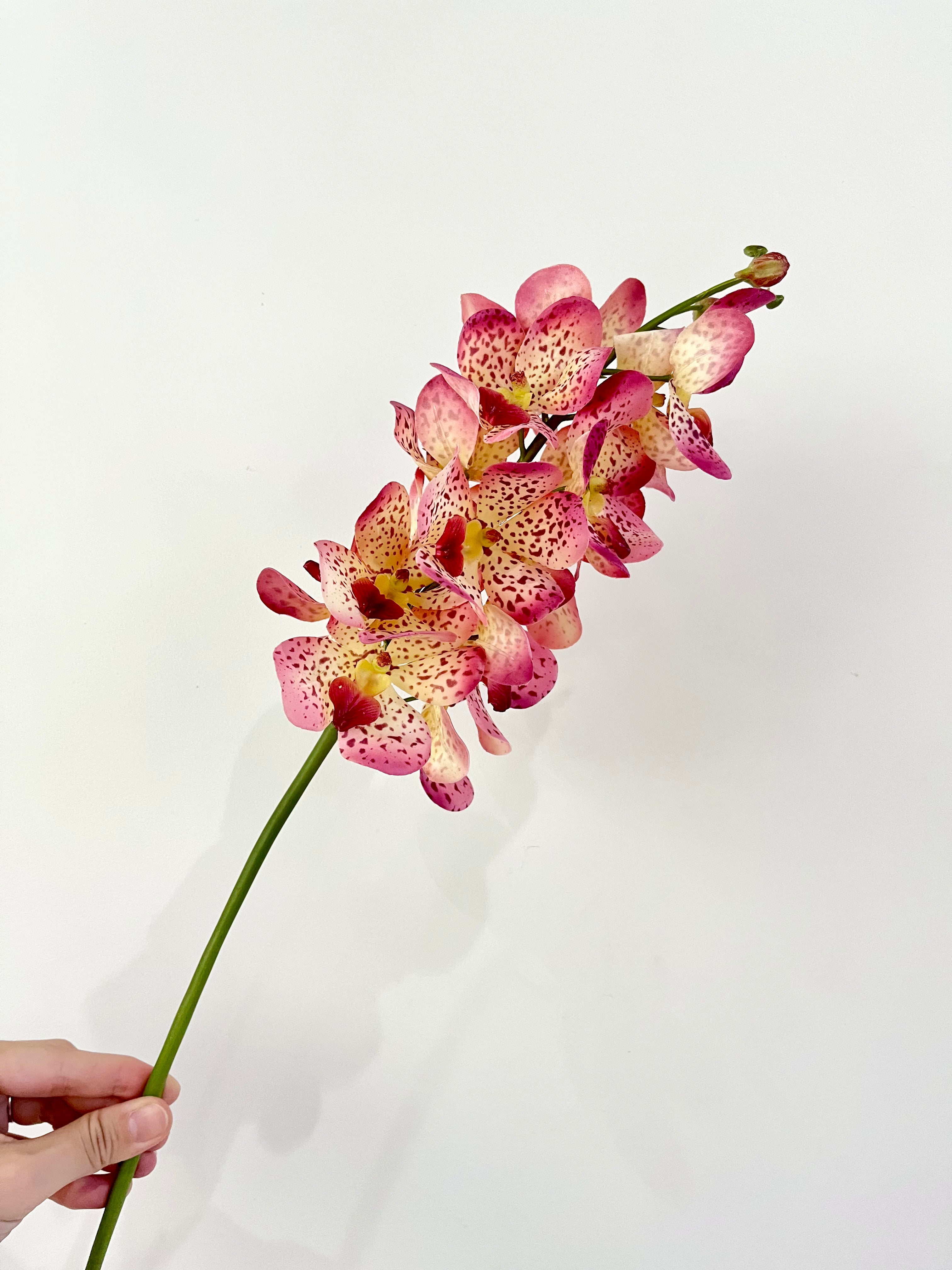 モカラ（イエローレッド） Artificial Flowers kiki