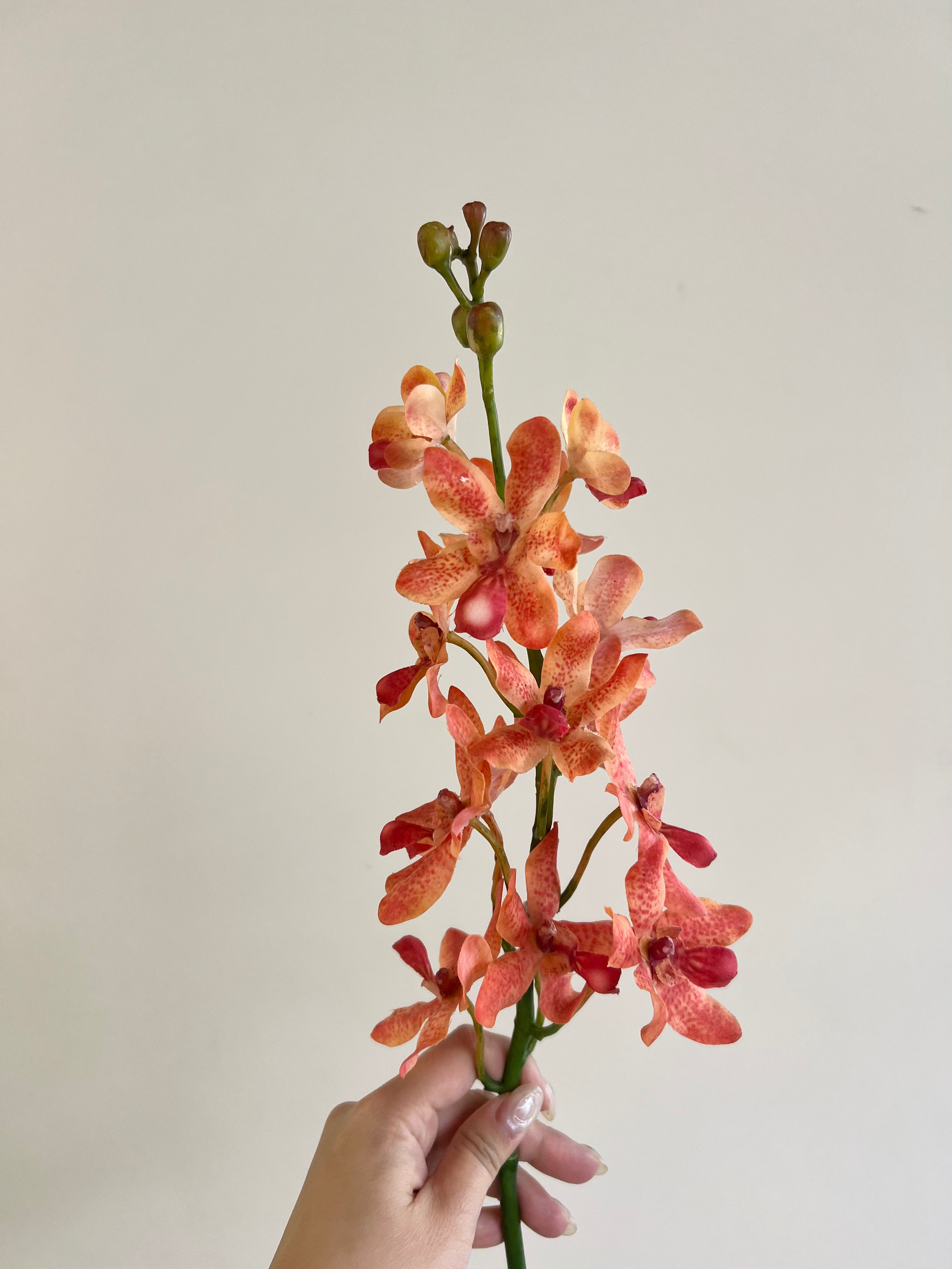 モカラ オレンジ – Artificial Flowers kiki