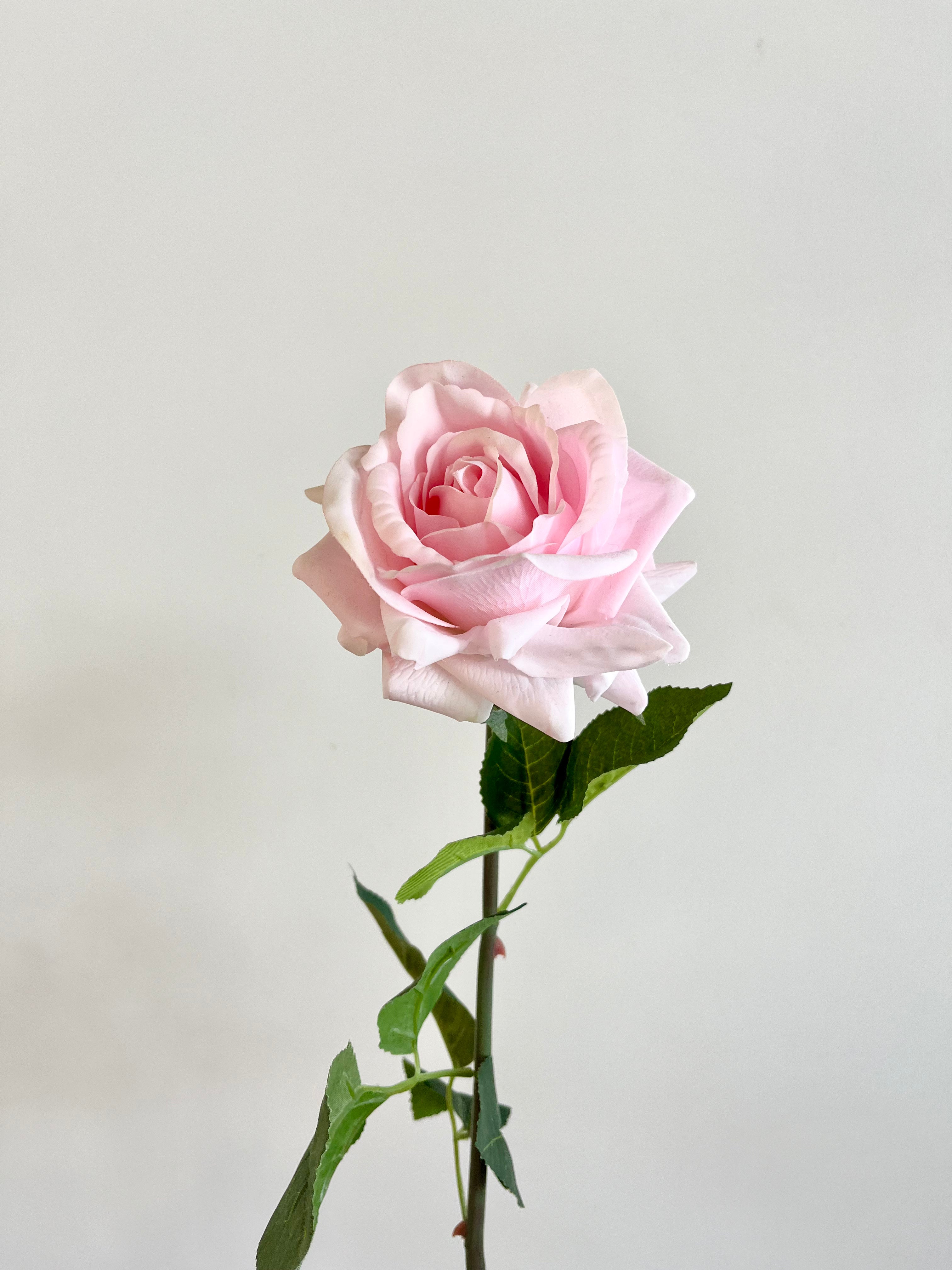 薔薇 大(ペールピンク) – Artificial Flowers kiki 薔薇 大(ペールピンク) – Artificial Flowers kiki