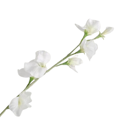 スイートピー ホワイト – Artificial Flowers kiki