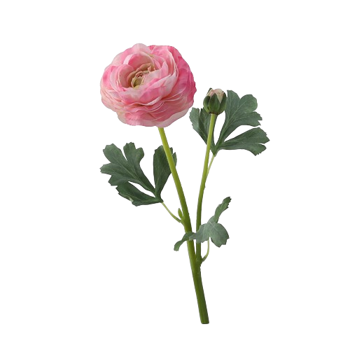 ラナンキュラス ピンク – Artificial Flowers kiki