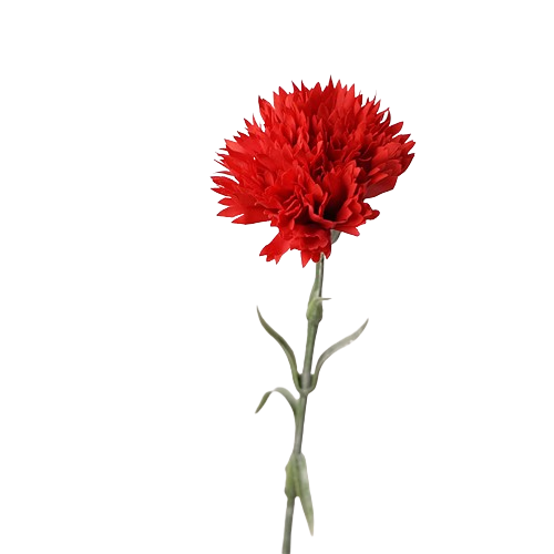 カーネーション(レッド) – Artificial Flowers kiki