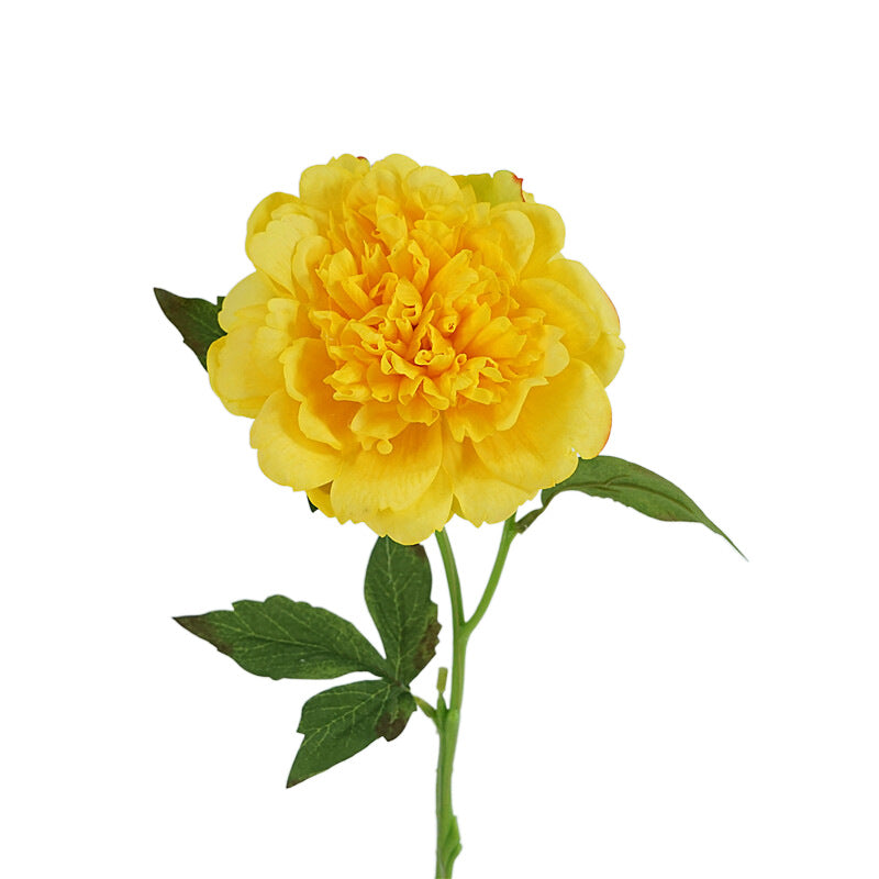 牡丹(イエロー) Artificial Flowers kiki