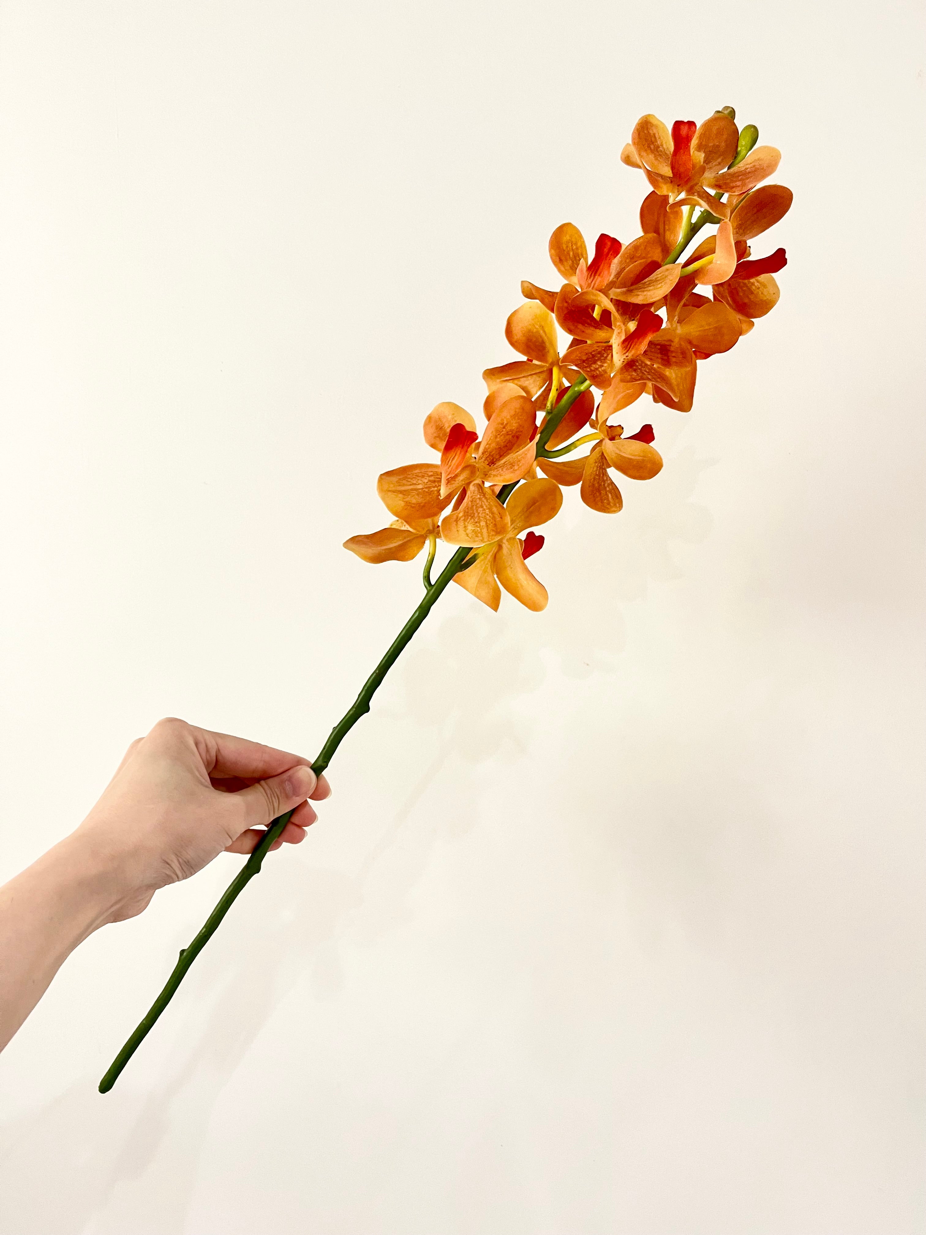 モカラ オレンジ） – Artificial Flowers kiki