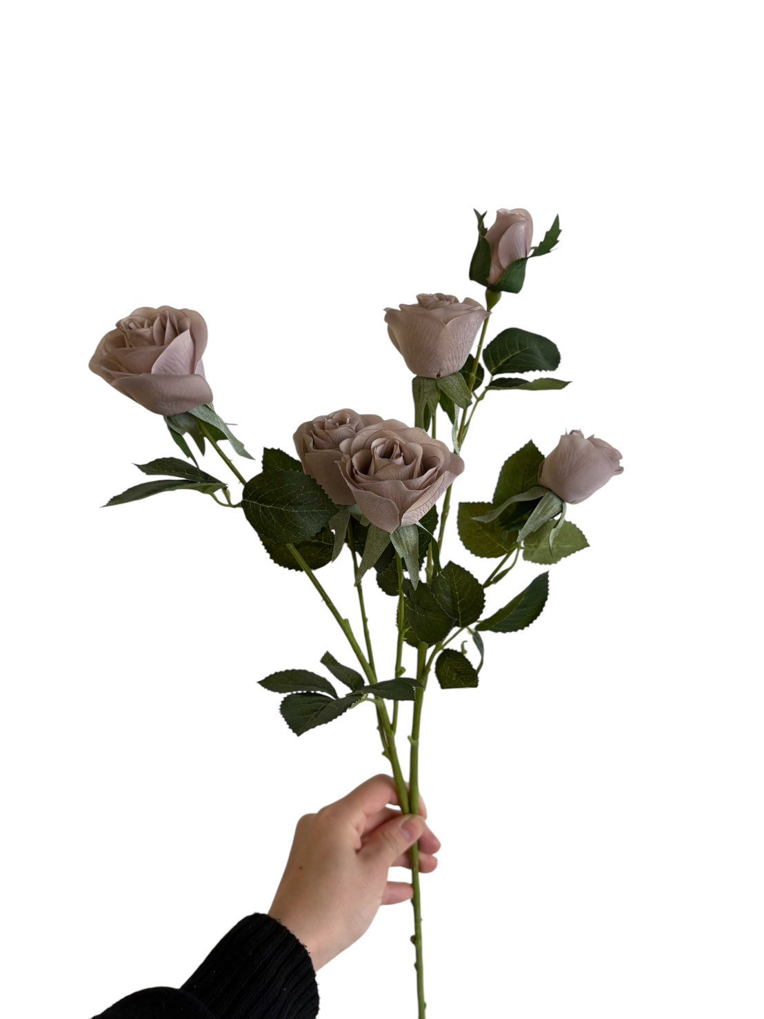 スプレー薔薇（スモークグレー）