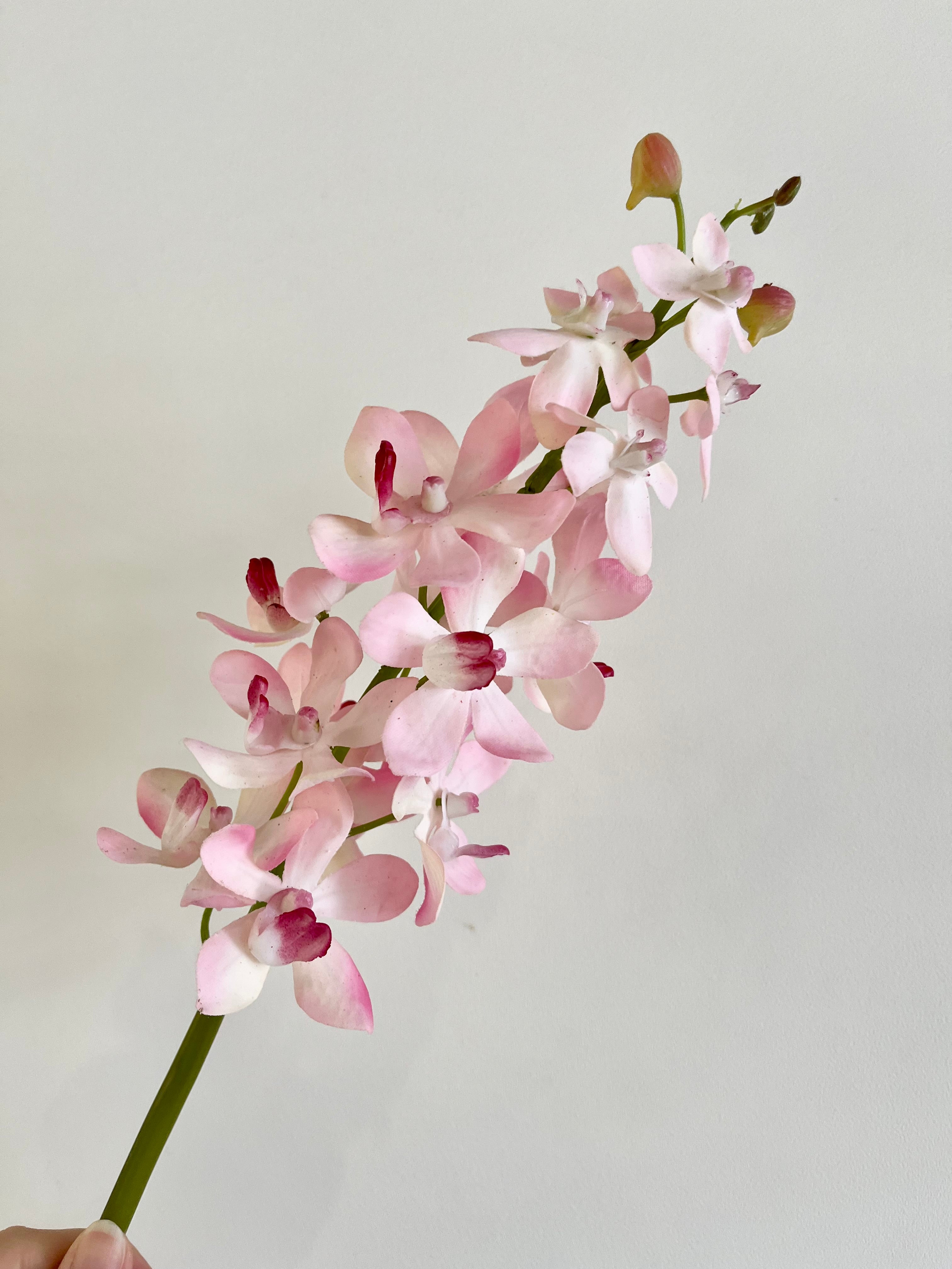 68D60526-03CB-4E7D-8676-