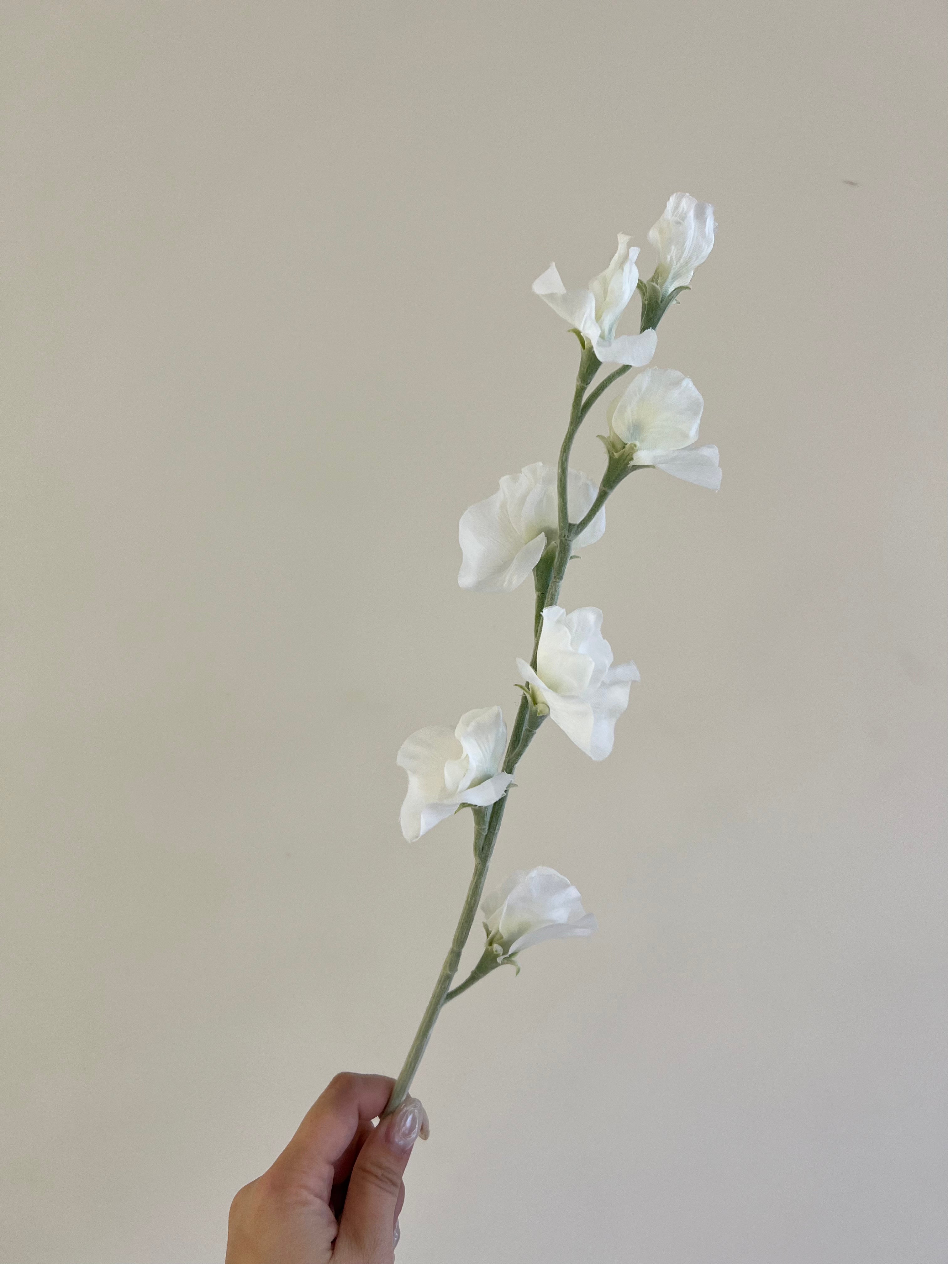 スイートピー ホワイト – Artificial Flowers kiki スイートピー ホワイト – Artificial Flowers kiki