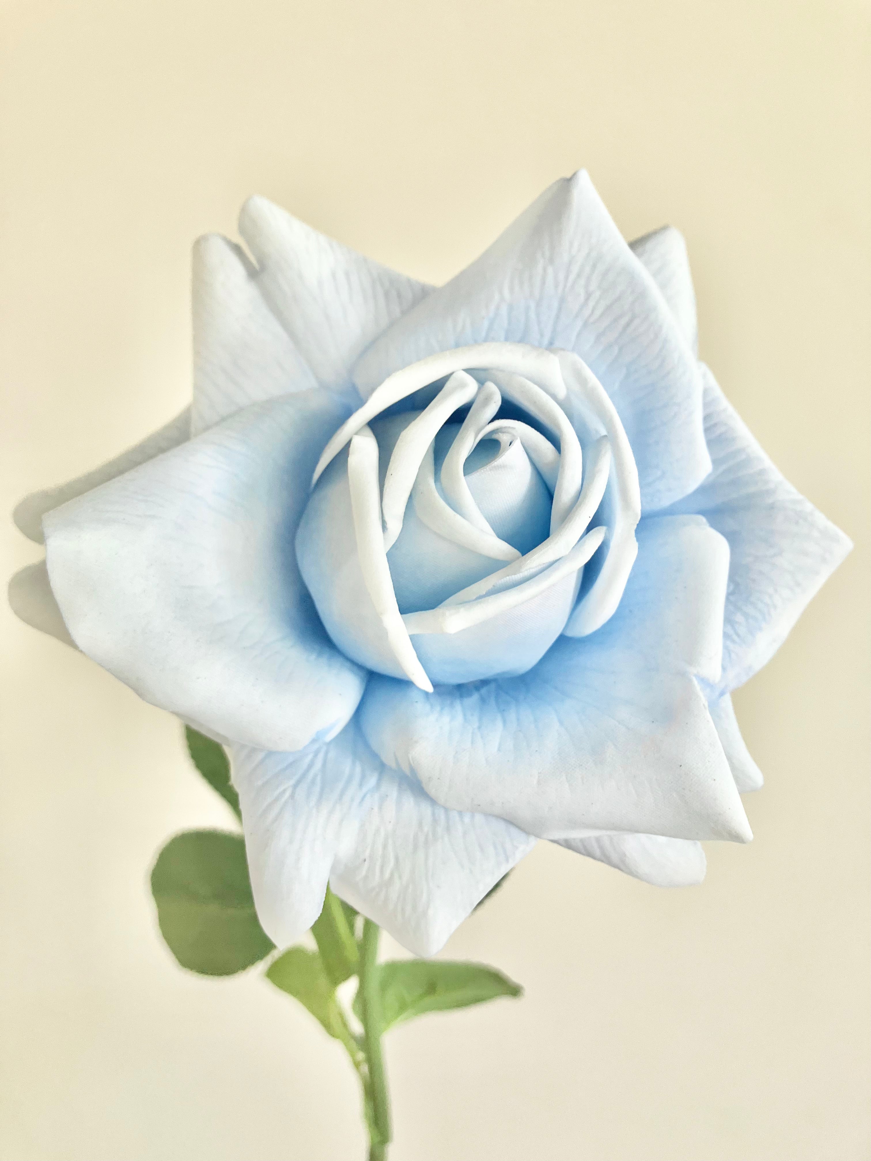 薔薇　大(アイスブルー)