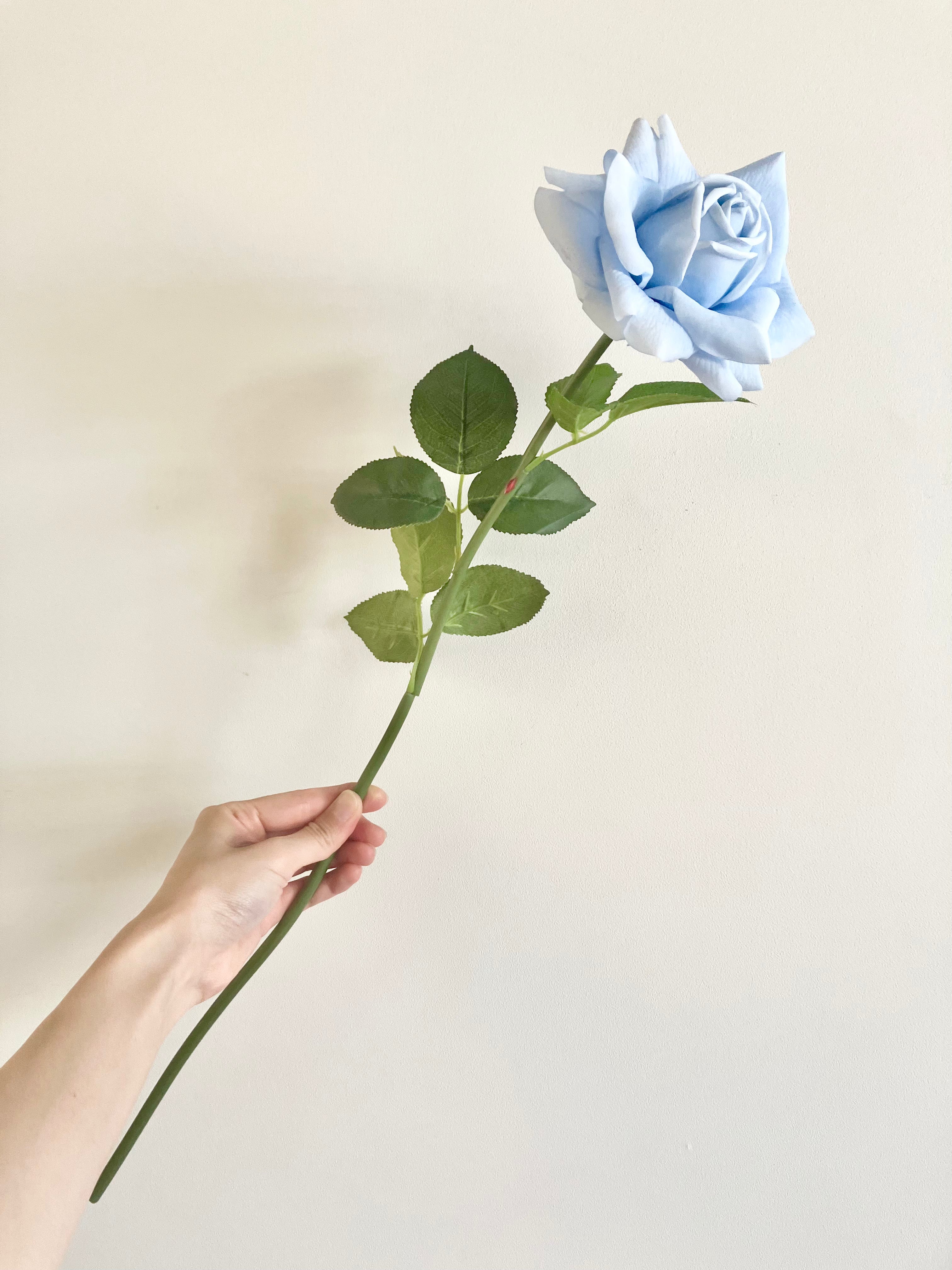 薔薇　大(アイスブルー)