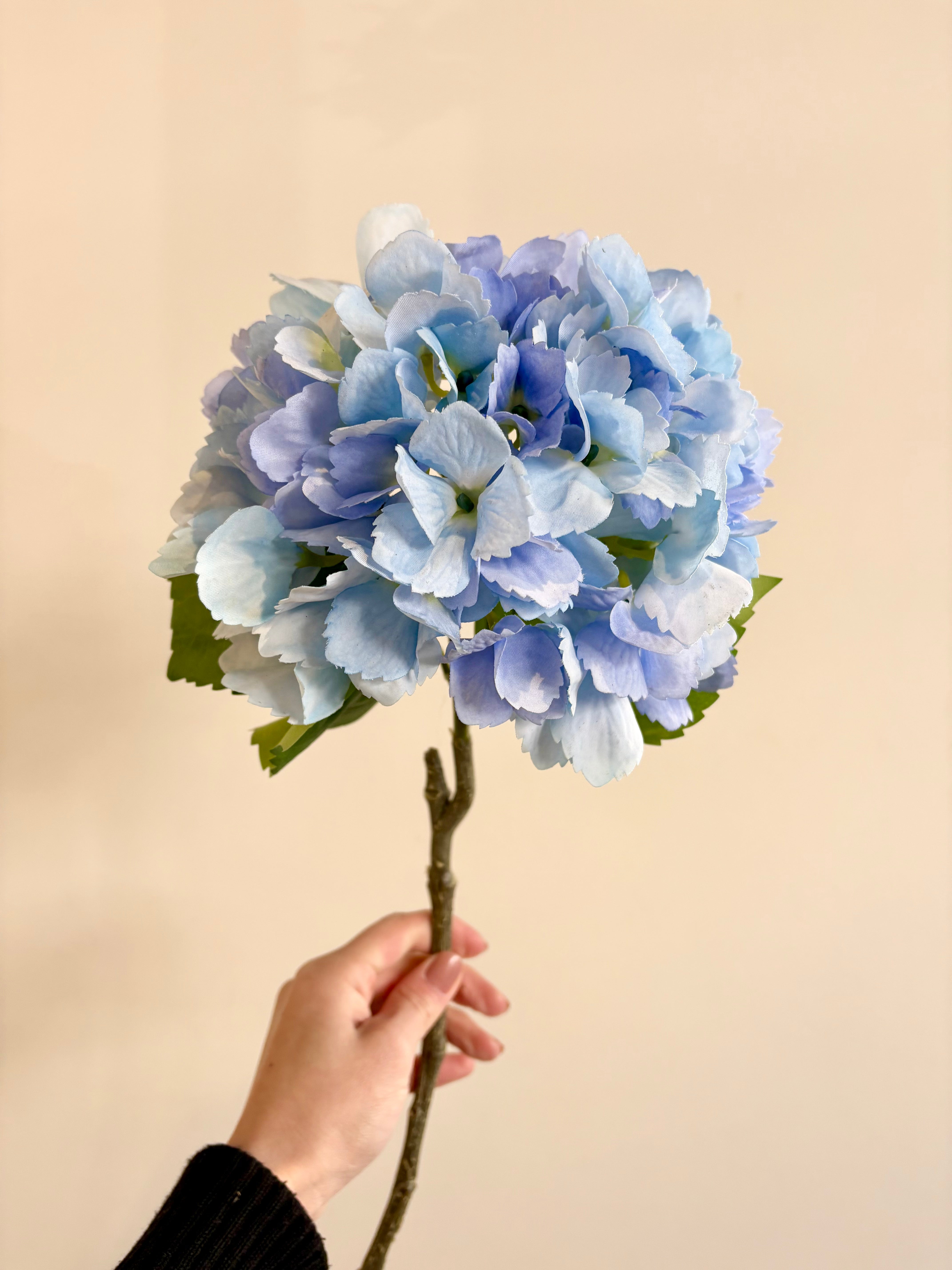 紫陽花(ライトブルー)