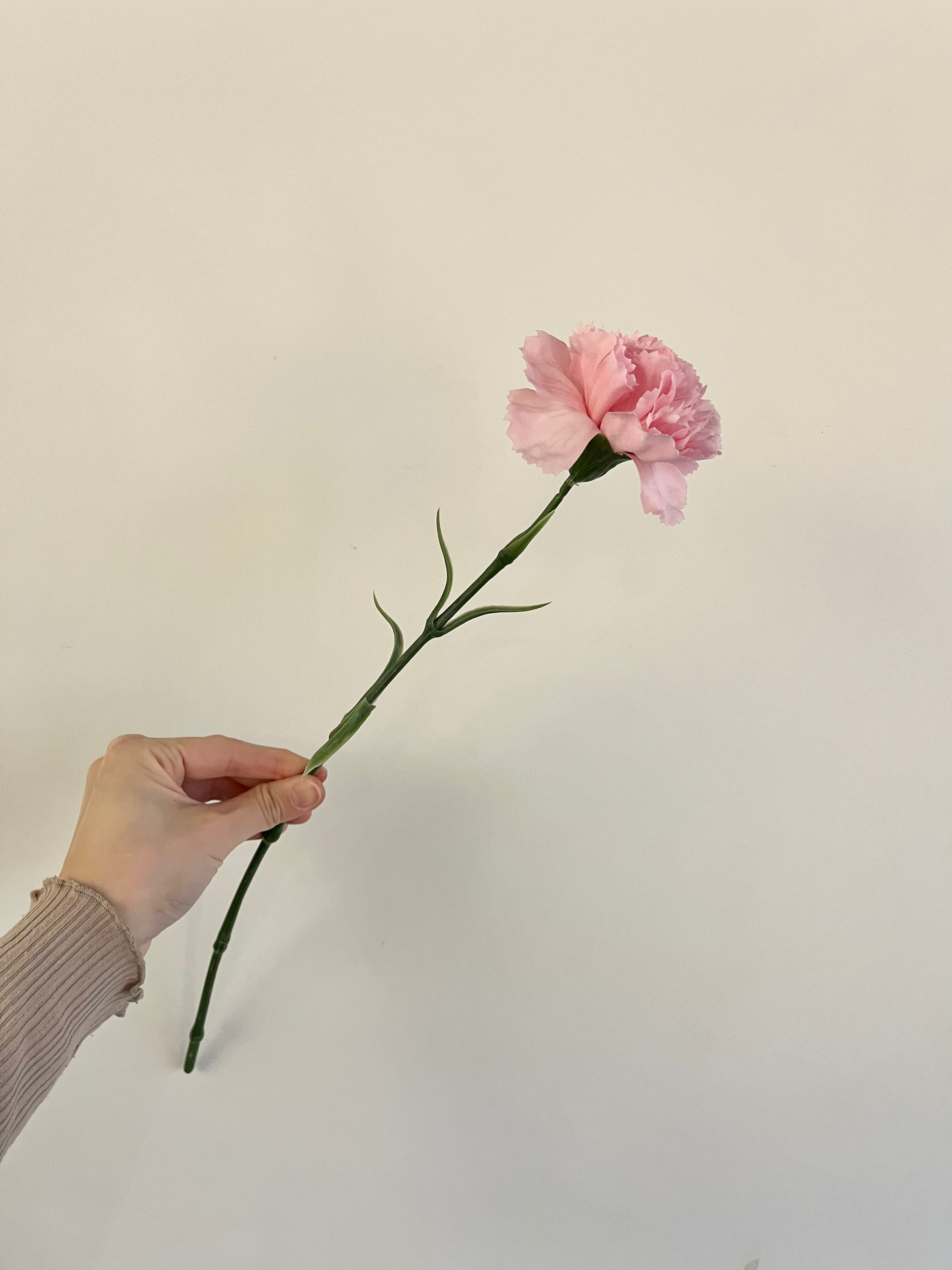 カーネーション(ライトピンク)
