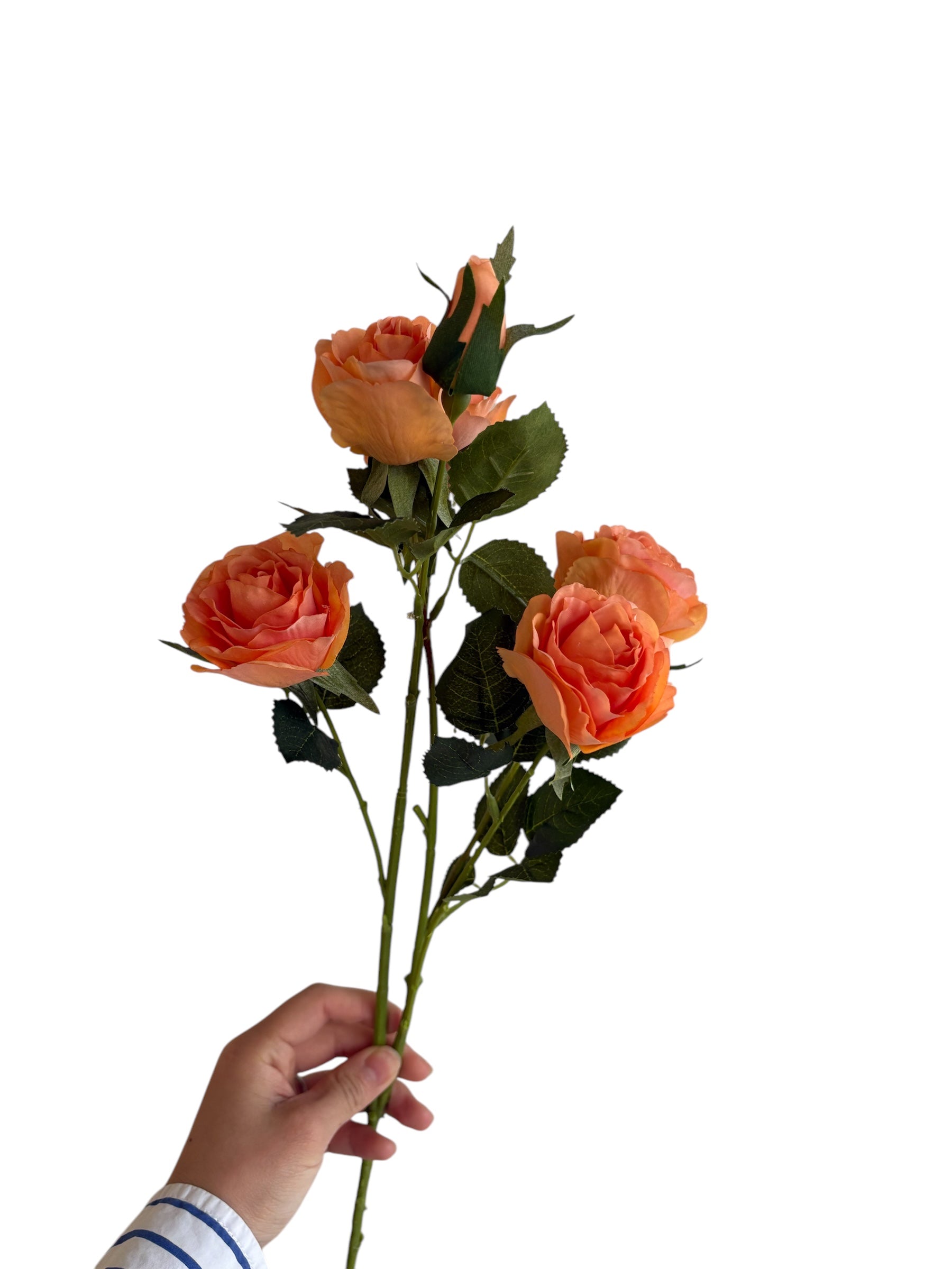 スプレー薔薇（サンセットオレンジ）