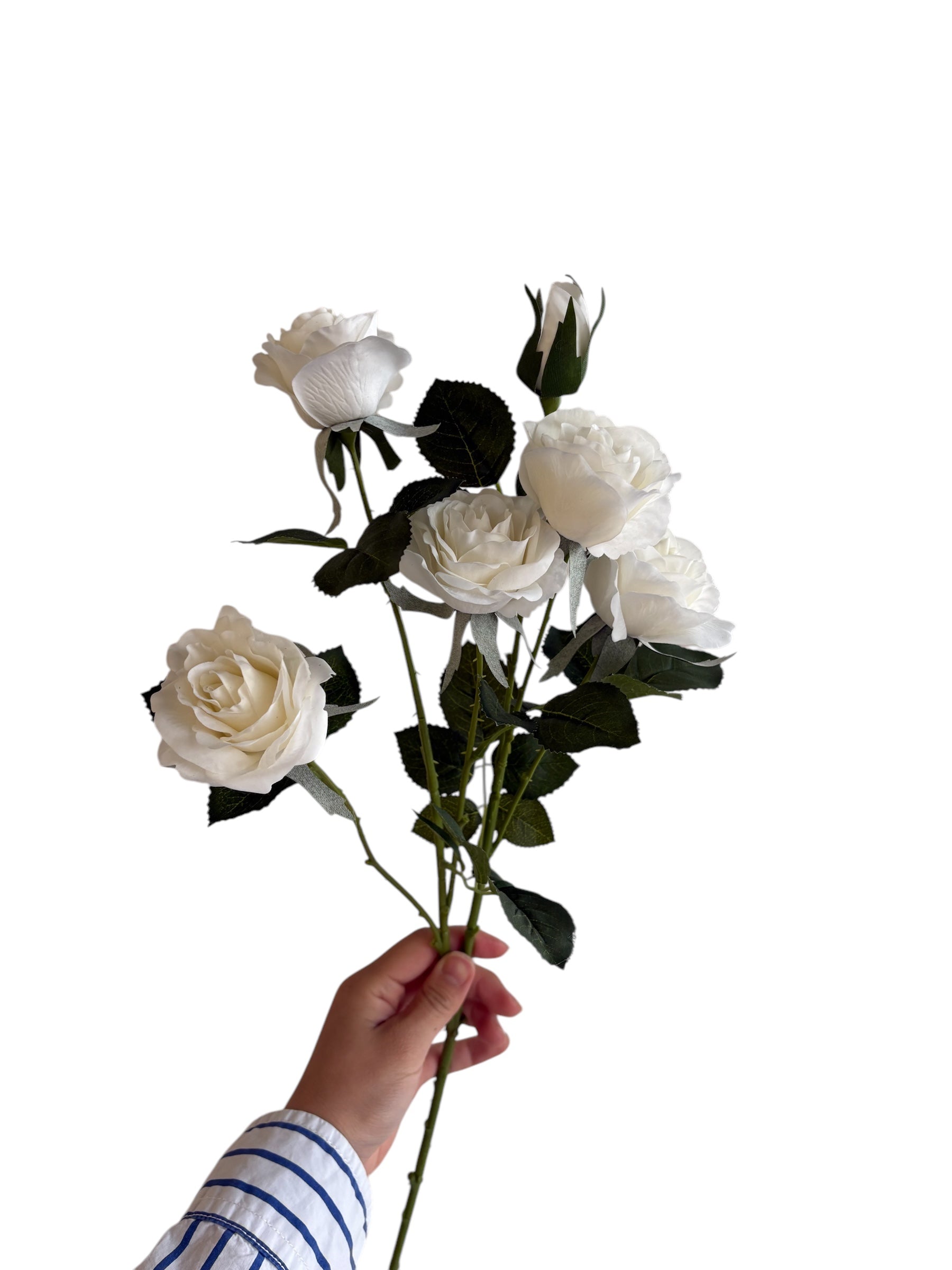 スプレー薔薇（クリームホワイト）