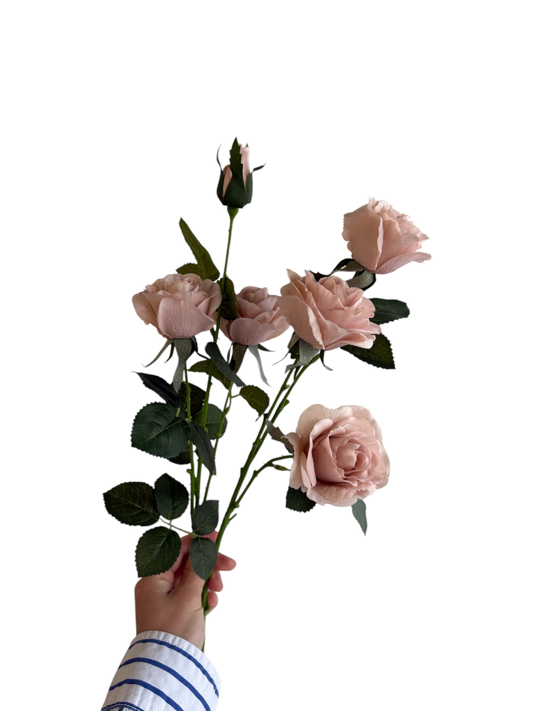 スプレー薔薇（スモークピンク）