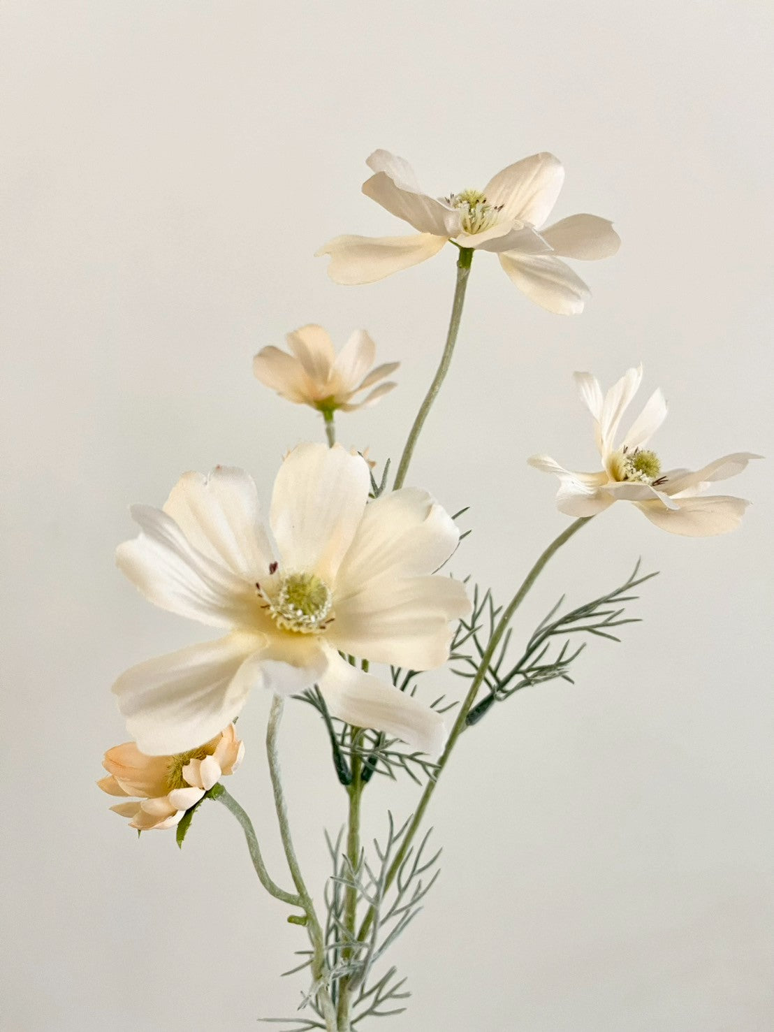 LINE_ALBUM___250808_156.jpg?